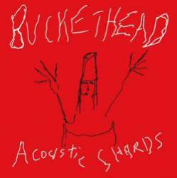 Buckethead : Acoustic Shards